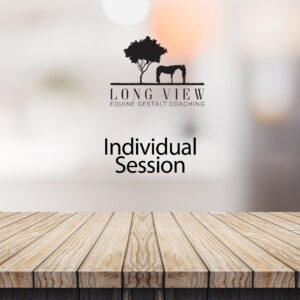 Individual Sessions